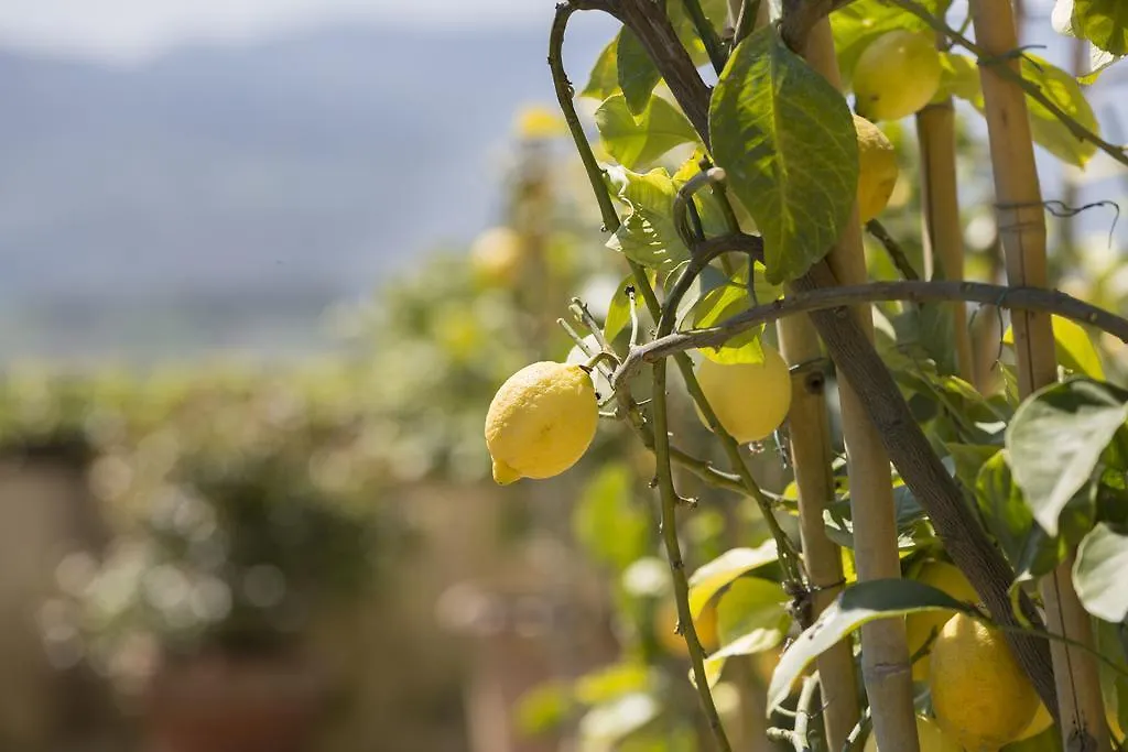Alloggio per agriturismo Villa Poggio Bartoli Molezzano